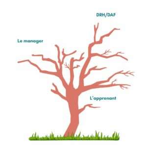 décisionnaires en formation
